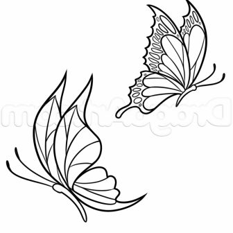 336x336 Easy Drawing For Butterfly And Flower Images Step Star Method
