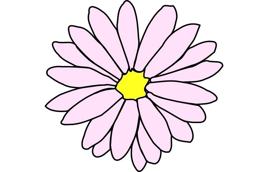 900x580 Flower Drawing Outline Outline Drawing Of A Flower And Butterfly