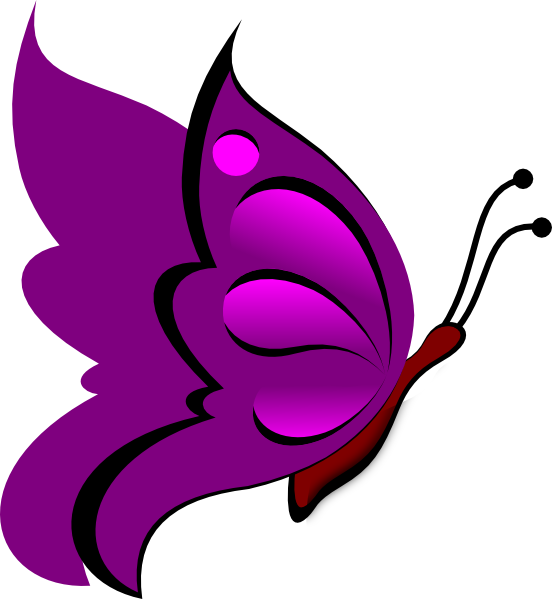 552x599 Butterfly, Flower, Drawing, Transparent Png Image Clipart Free