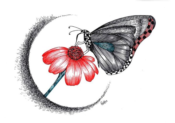 600x424 Butterfly Flower Drawings
