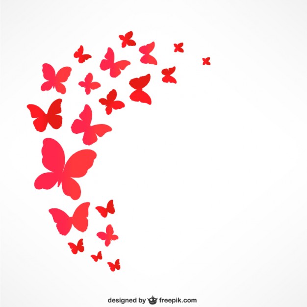 626x626 Butterfly Vectors, Photos And Free Download