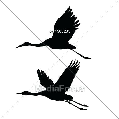 380x380 drawing of a fly crane bird flying drawing crane bird flying