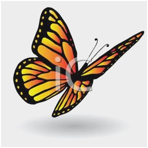 300x300 Free Butterfly Clipart Images Wonderfully Free Corel Draw