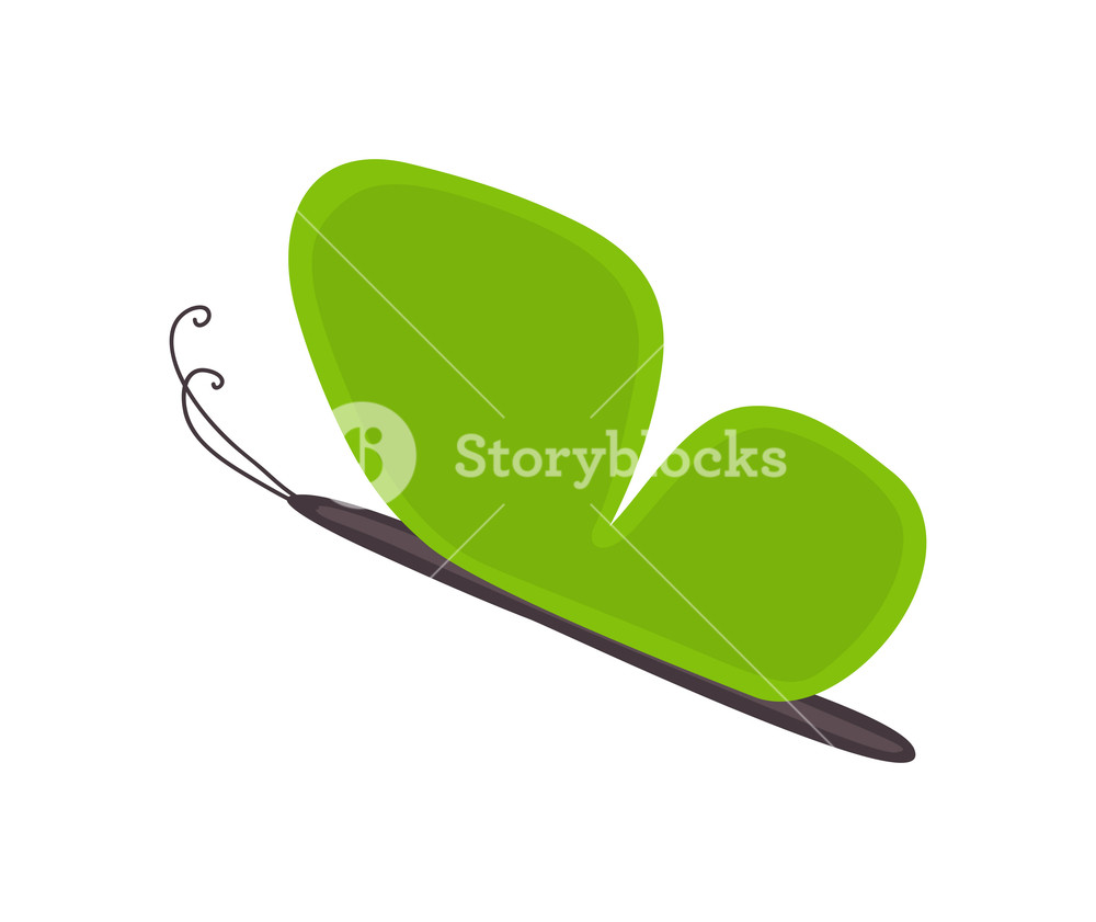 1000x841 Green Butterfly Flying Drawing Royalty Free Stock Image