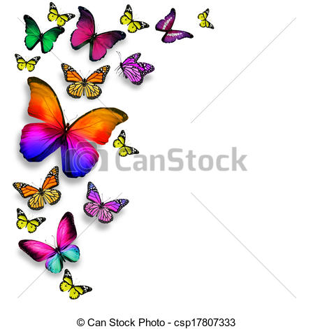 448x470 Many Different Butterflies Flying, Isolated On White Background
