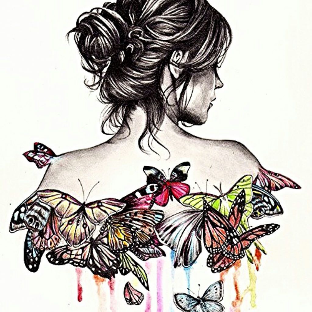 Butterfly Pics Drawing Free Download On Clipartmag