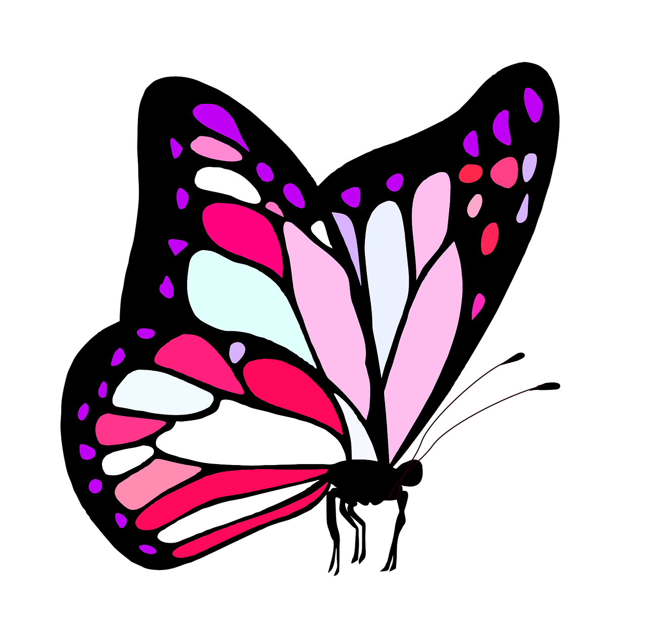 1280x1257 butterfly, pink, cute, girl, feminine