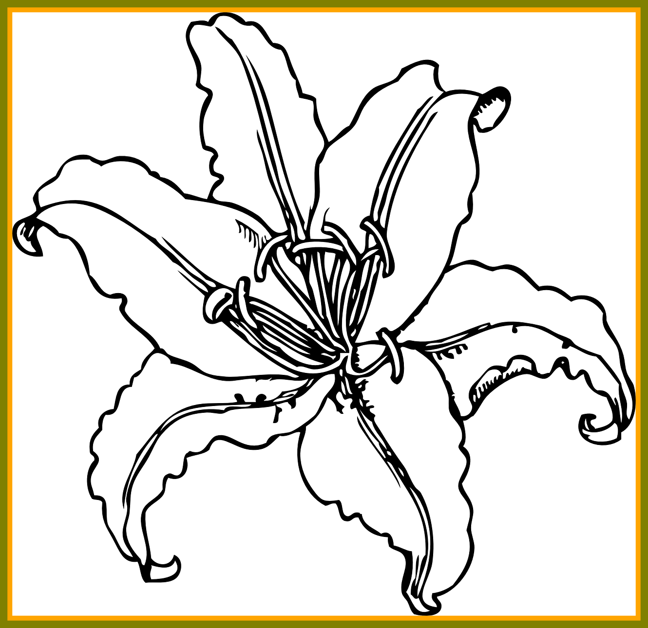 1330x1290 Collection Of Free Garden Drawing Concept Download On Ui Ex