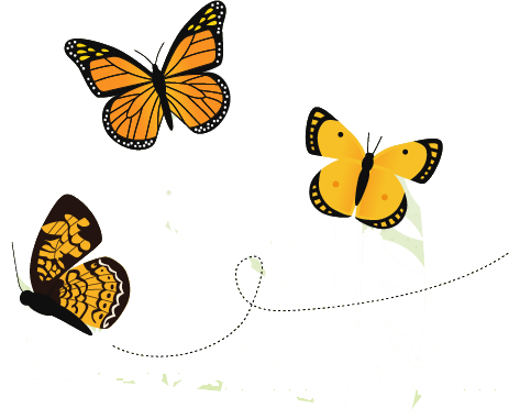 463x381 How To Create A Beautiful Butterfly Garden