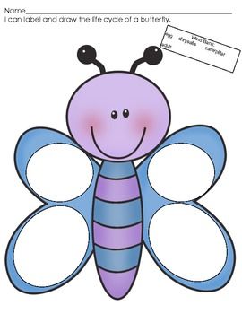 270x350 Butterfly Life Cycle Draw And Label Insect Theme Butterfly