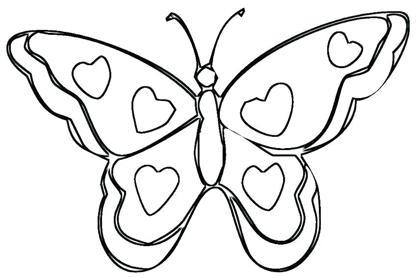850x567 Butterfly Coloring Pages Printable Book Free Palmarosa
