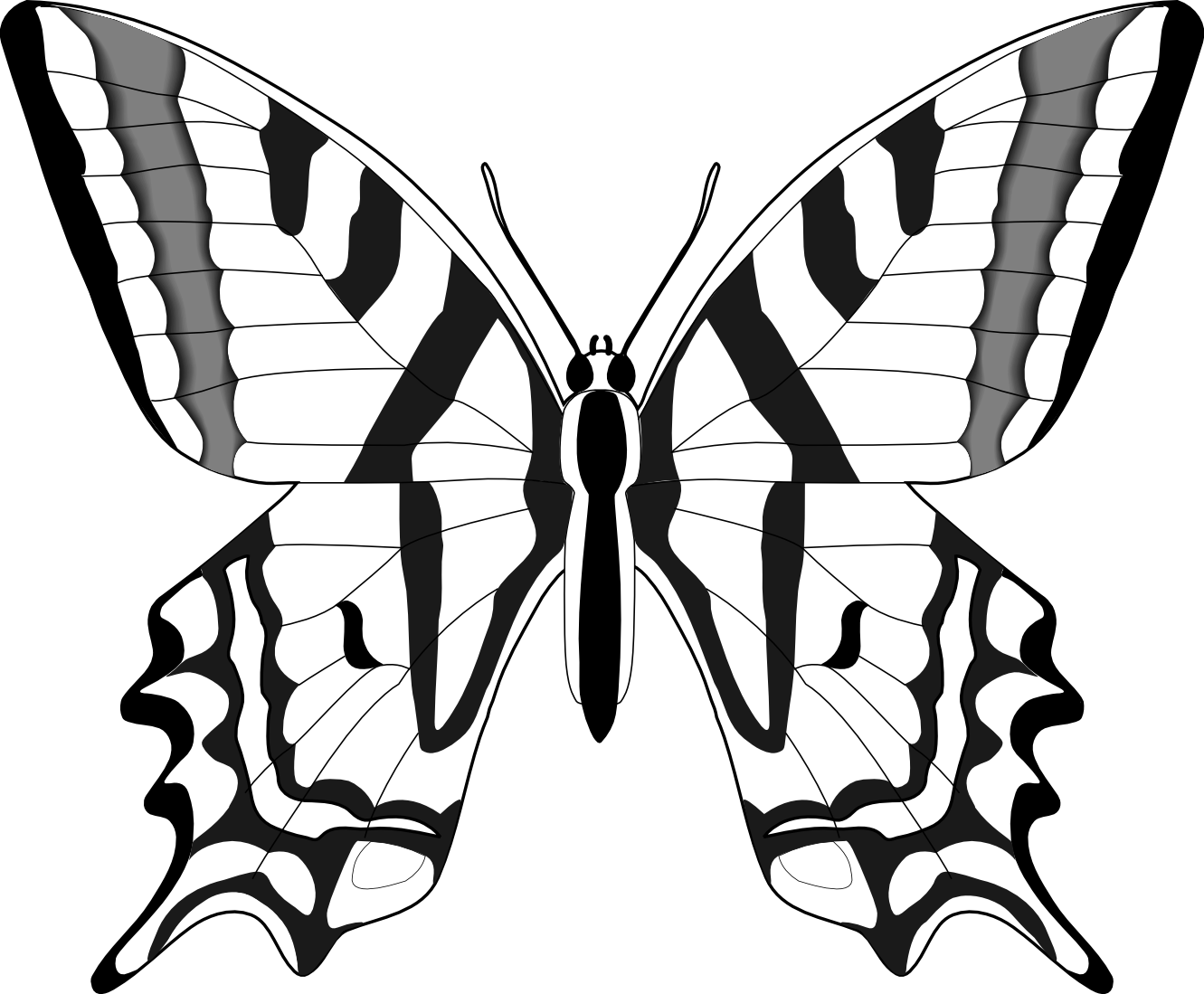 1331x1099 Butterfly Line Drawing Transparent Png Clipart Free Download