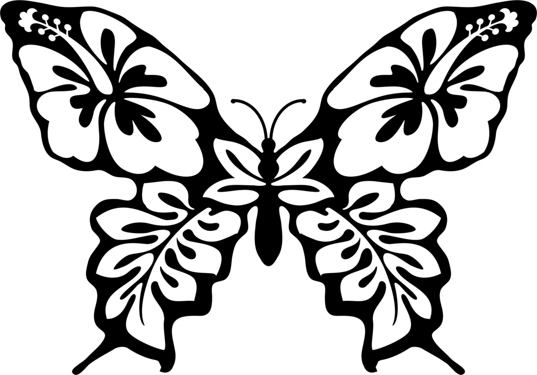 1074x750 Butterfly Line Art Drawing Cc0