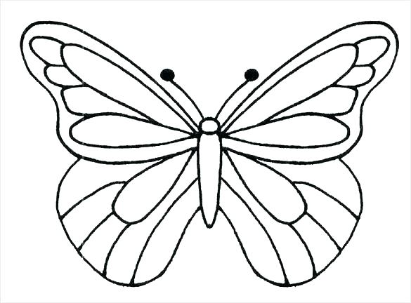 585x432 Butterfly Outline Drawing Butterfly Outline Coloring Pages Monarch