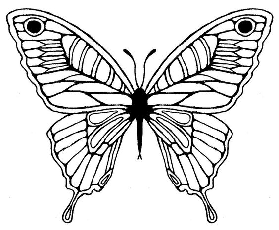 564x465 Butterfly Drawing Clipart