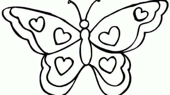 570x320 Simple Butterflies Drawings Easy Draw Butterfly Line Drawing