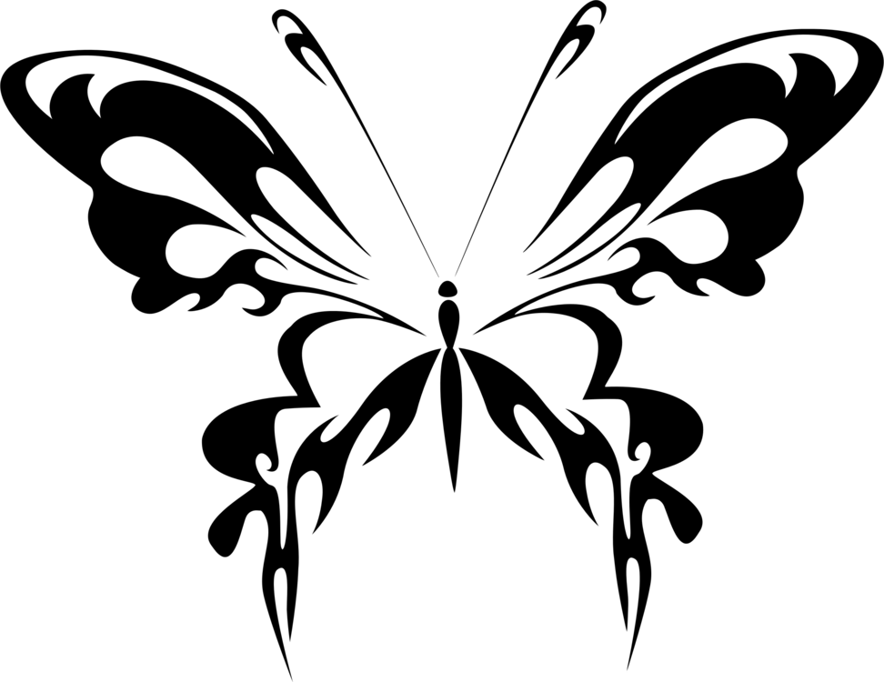 972x750 Butterfly Line Art Drawing Abstract Art Cc0