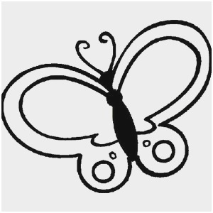 300x300 Butterfly Outline Clipart Unique Butterfly Outline Line Drawing