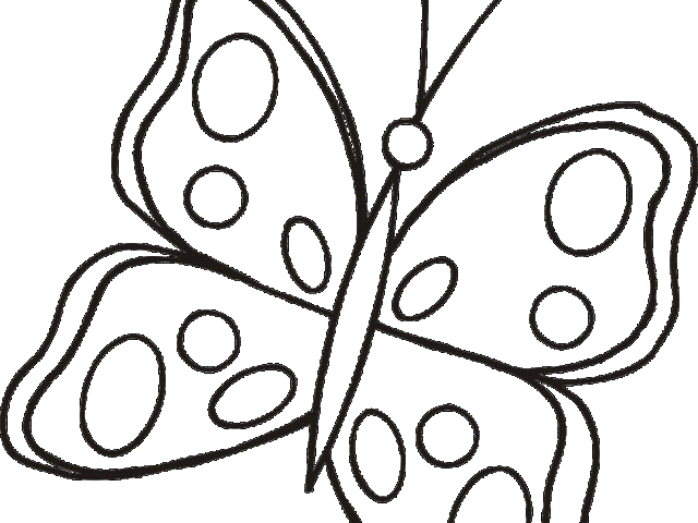 640x480 Cute Butterfly Line Drawing