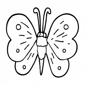 Butterfly Line Drawing Images | Free download on ClipArtMag