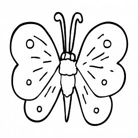 275x275 Drawing Butterfly Photos And Images