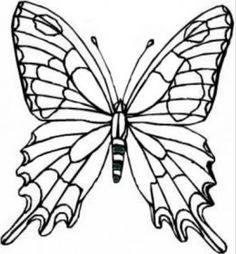 236x254 Huge Collection Of 'line Drawing Of Butterfly' Download More Than