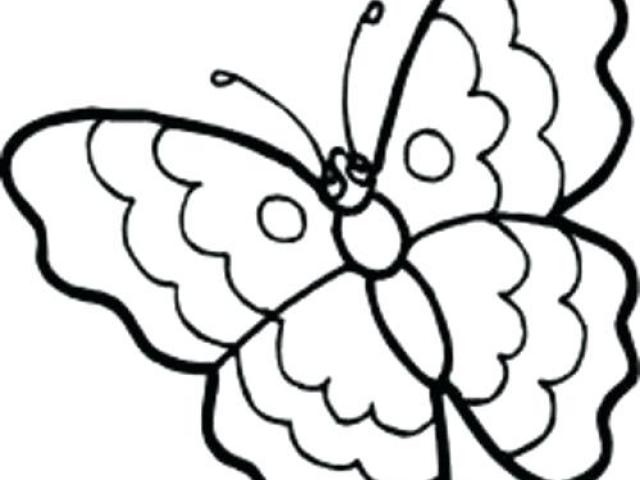 640x480 Butterfly Clipart Line Drawing