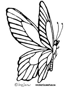 236x295 Butterfly Clipart Line Drawing
