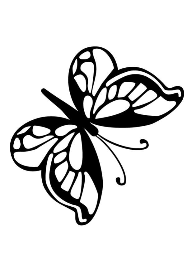 Butterfly Net Drawing | Free download on ClipArtMag