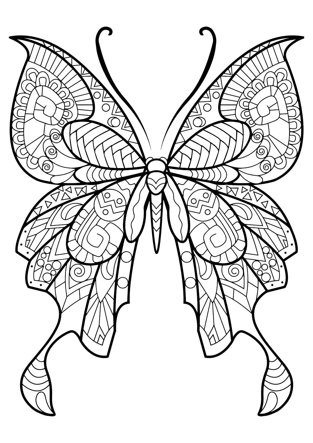 1059x1497 coloring sheets butterfly coloring book with glitters drawing