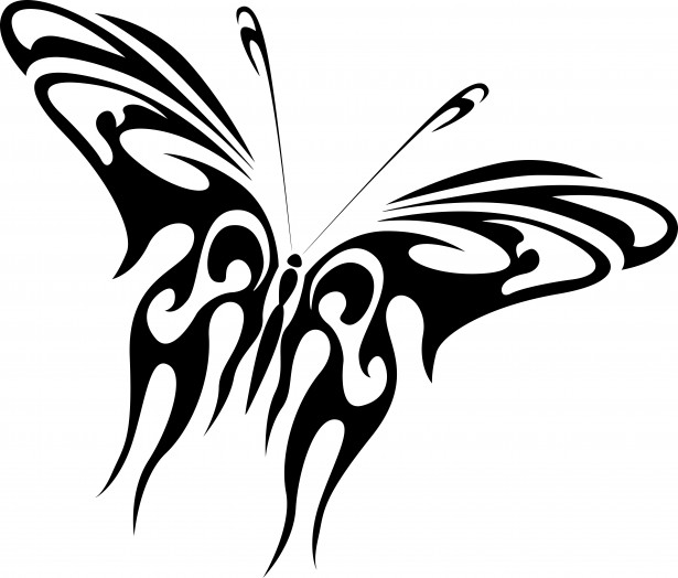 615x524 Drawing Of A Black Butterfly Free Stock Photo