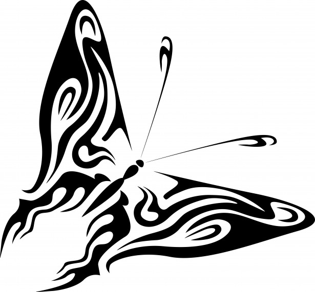 615x571 Drawing Of A Butterfly Free Stock Photo