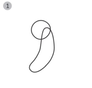 300x290 How To Draw A Butterfly Step