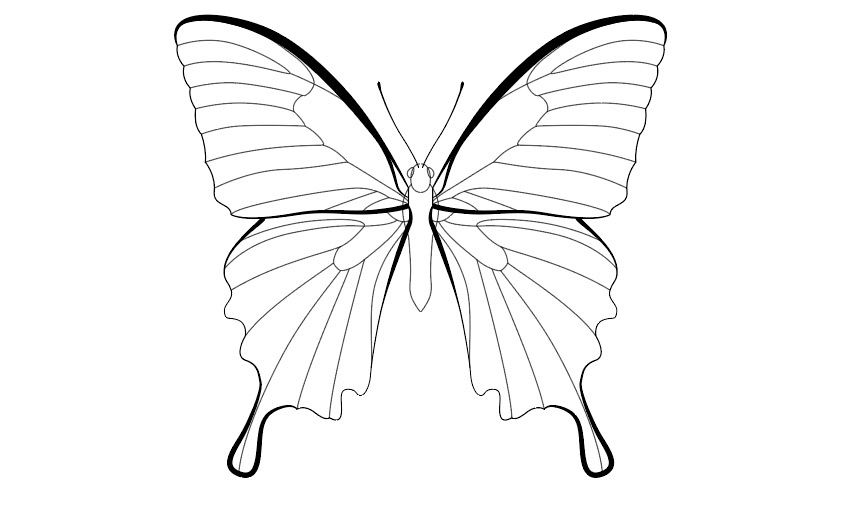 850x507 Drawn Butterfly Group Free Clip Art Stock Illustrations