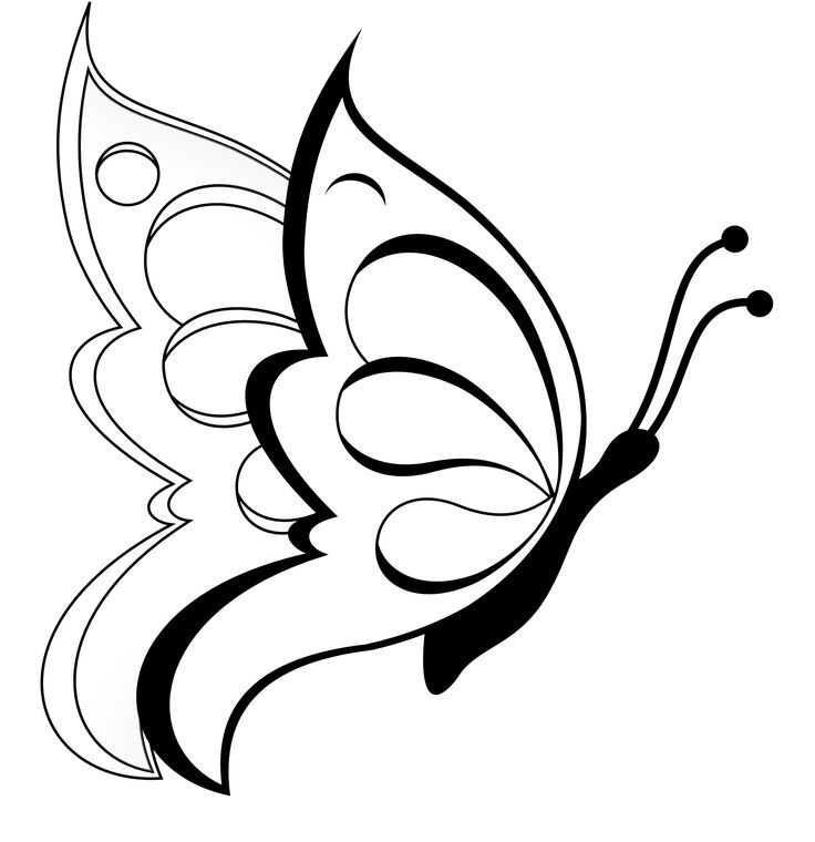 736x760 Simple Butterflies Drawings Butterfly