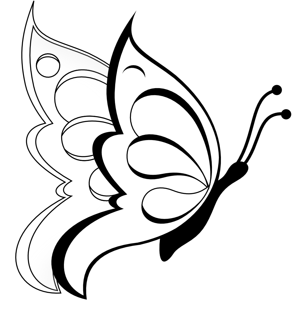 999x1032 Collection Of Free Butterfly Drawing Rose Download On Ui Ex