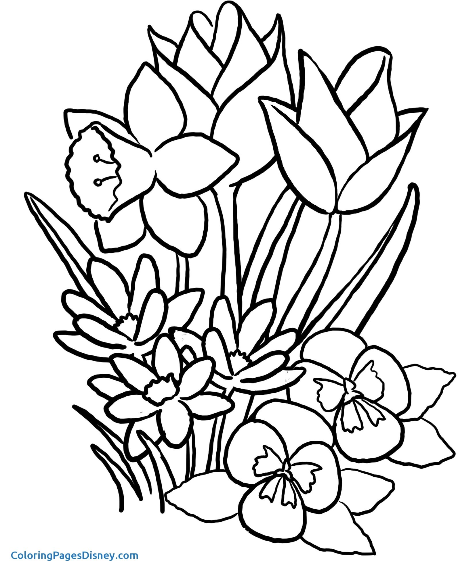 1651x1990 Coloring Pages Butterfly And Flower New Flowers Butterflies Luxury