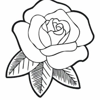 336x336 Drawing Of A Butterfly On Rose In Colour Colored Step Easy Childs
