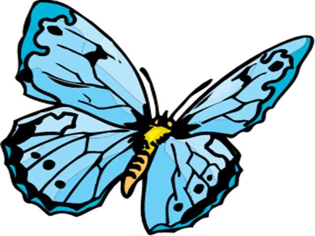 640x480 Flowers Drawings Inspiration Drawings Of Flowers And Butterflies