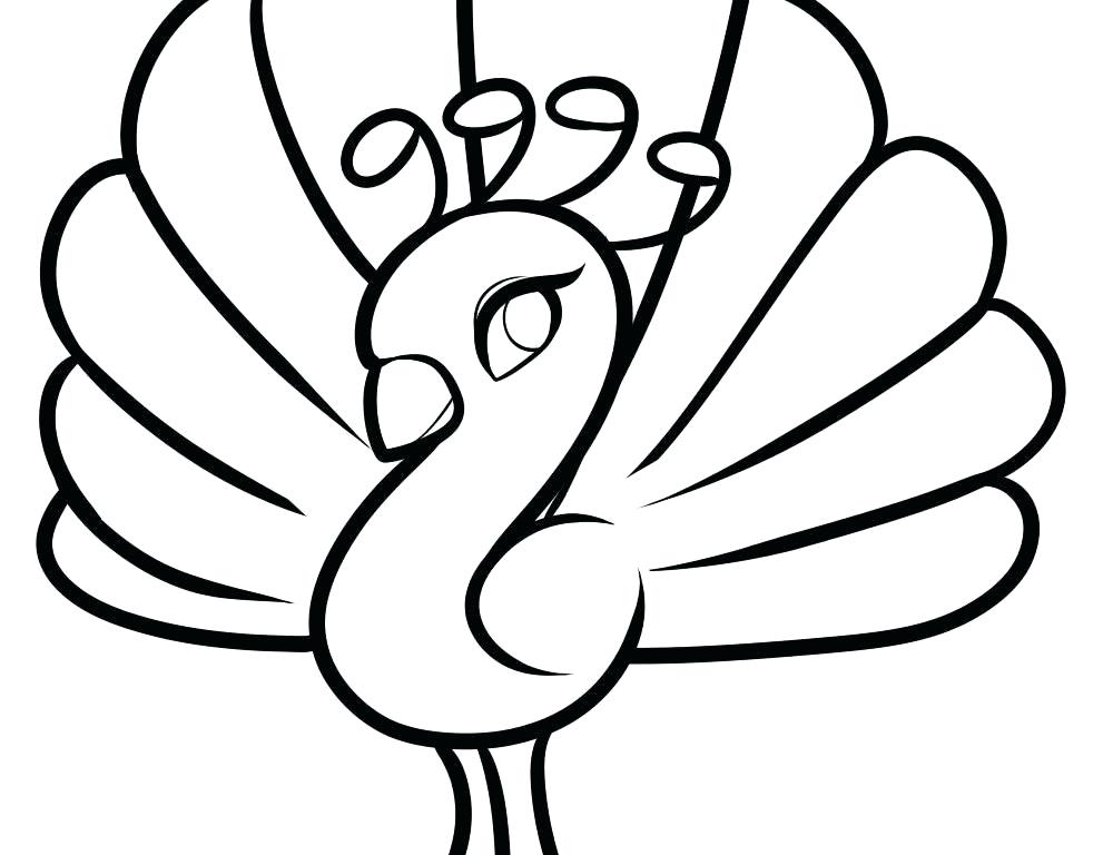 991x768 How To Draw A Simple Butterfly