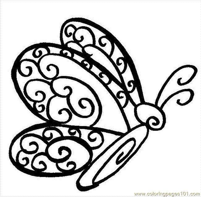 650x638 How To Draw A Butterfly Flying