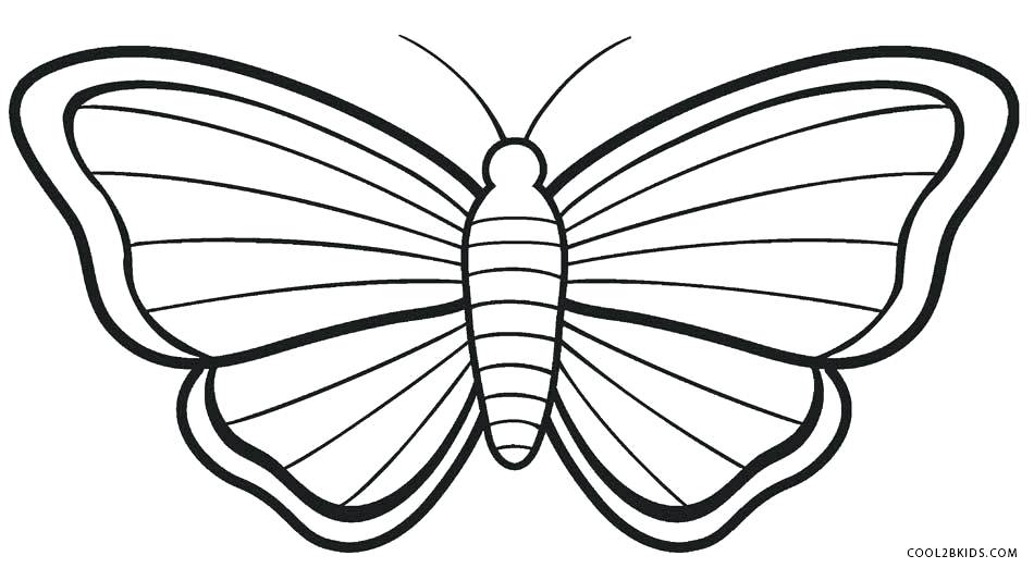 950x522 Drawing Butterfly For Kids