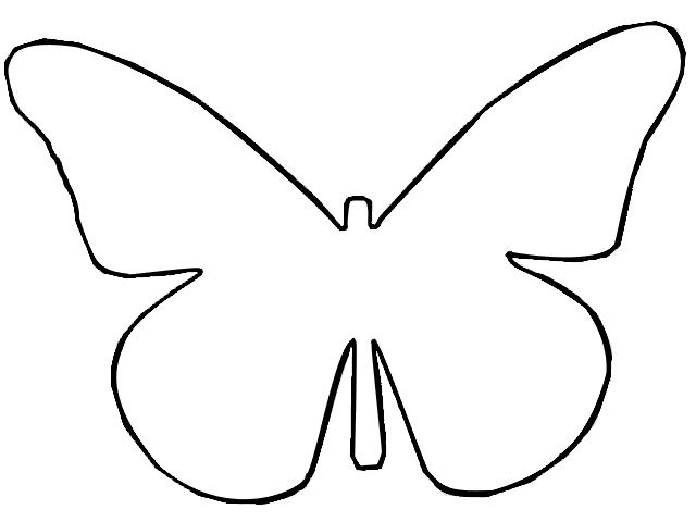 640x480 Butterfly Drawing Outline For Free Download