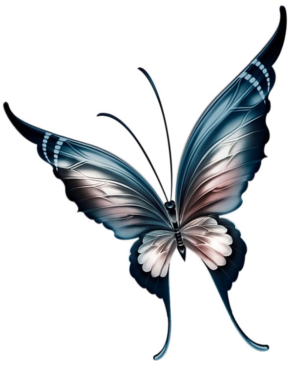 600x755 Butterflies And Dragons Images
