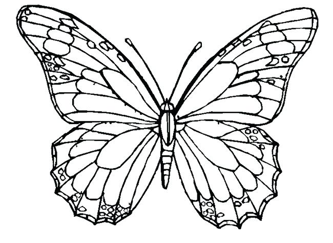 650x474 butterfly wing template butterfly wing template download butterfly