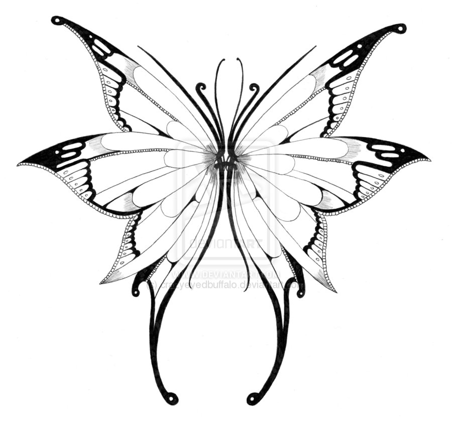 900x839 Butterfly Wings Drawing