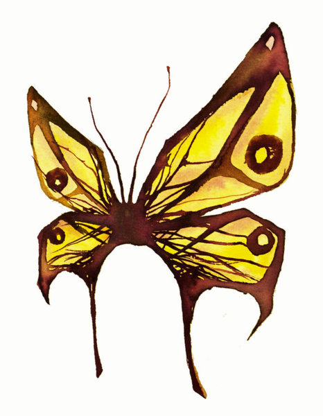 466x600 Butterfly Wings Drawings Fine Art America