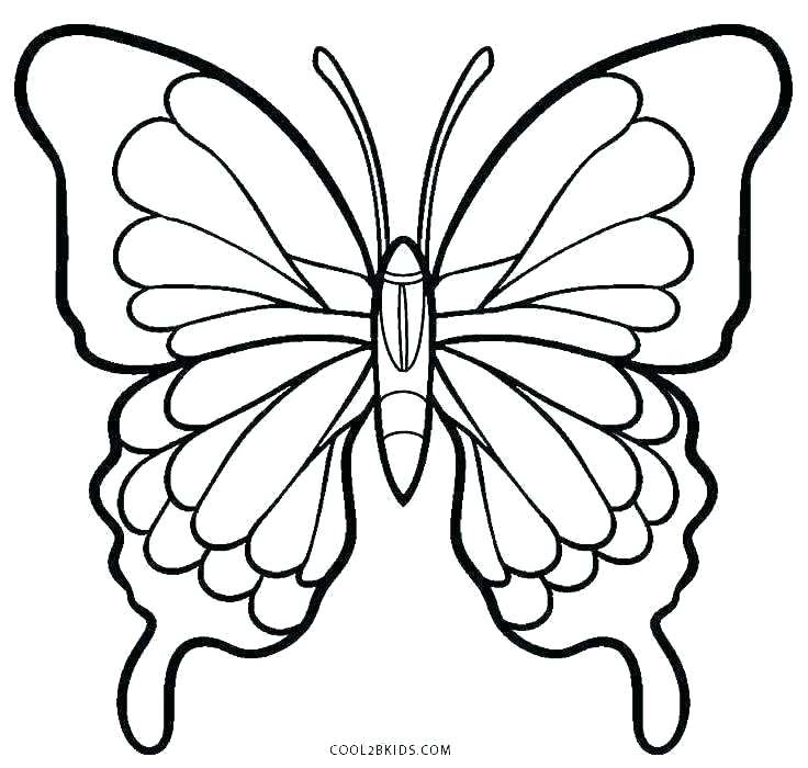 736x700 Monarch Butterfly Coloring Coloring