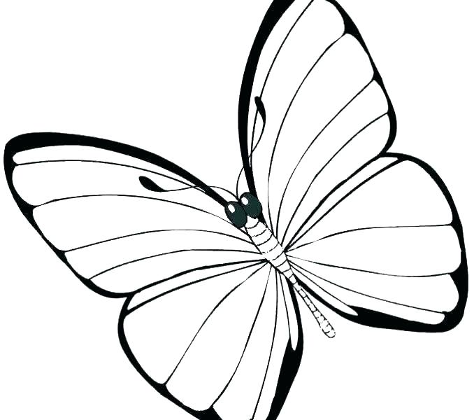 678x600 Butterfly Wings Coloring Pages Running