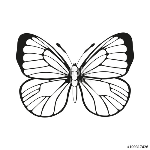 Butterfly Wings Drawing | Free download on ClipArtMag